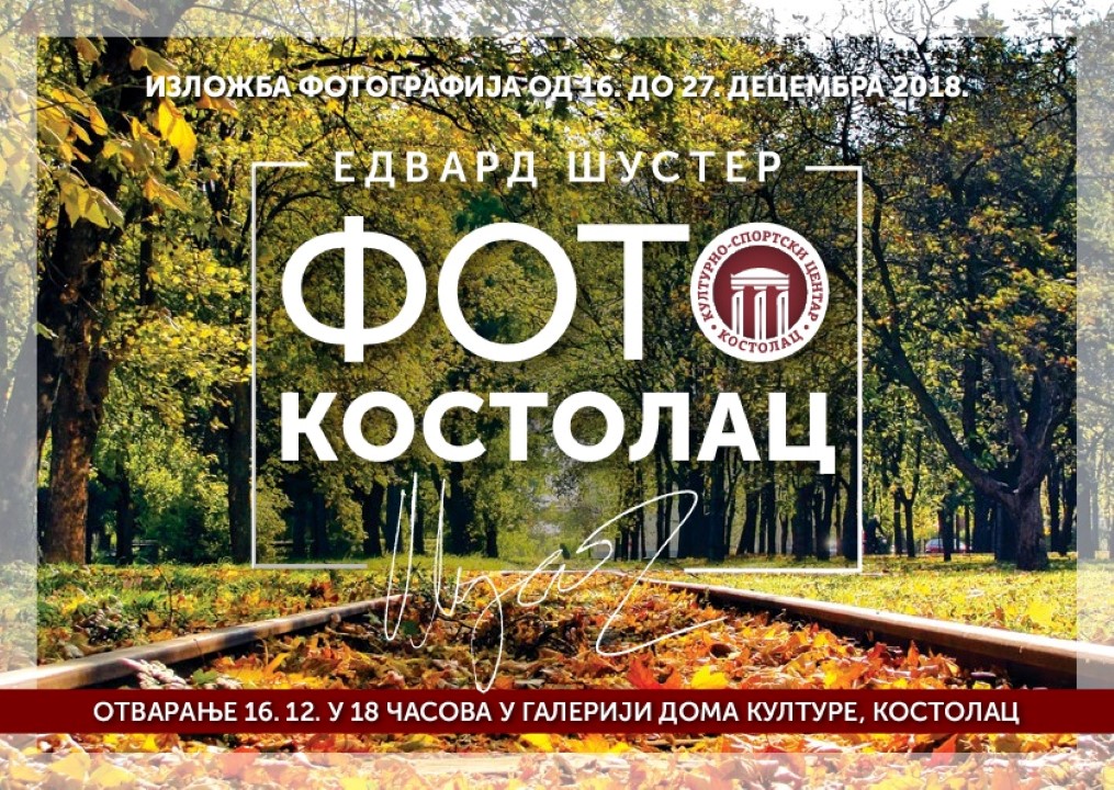 Edvard Suster Flajer PREVIEW 02 001 (Custom)