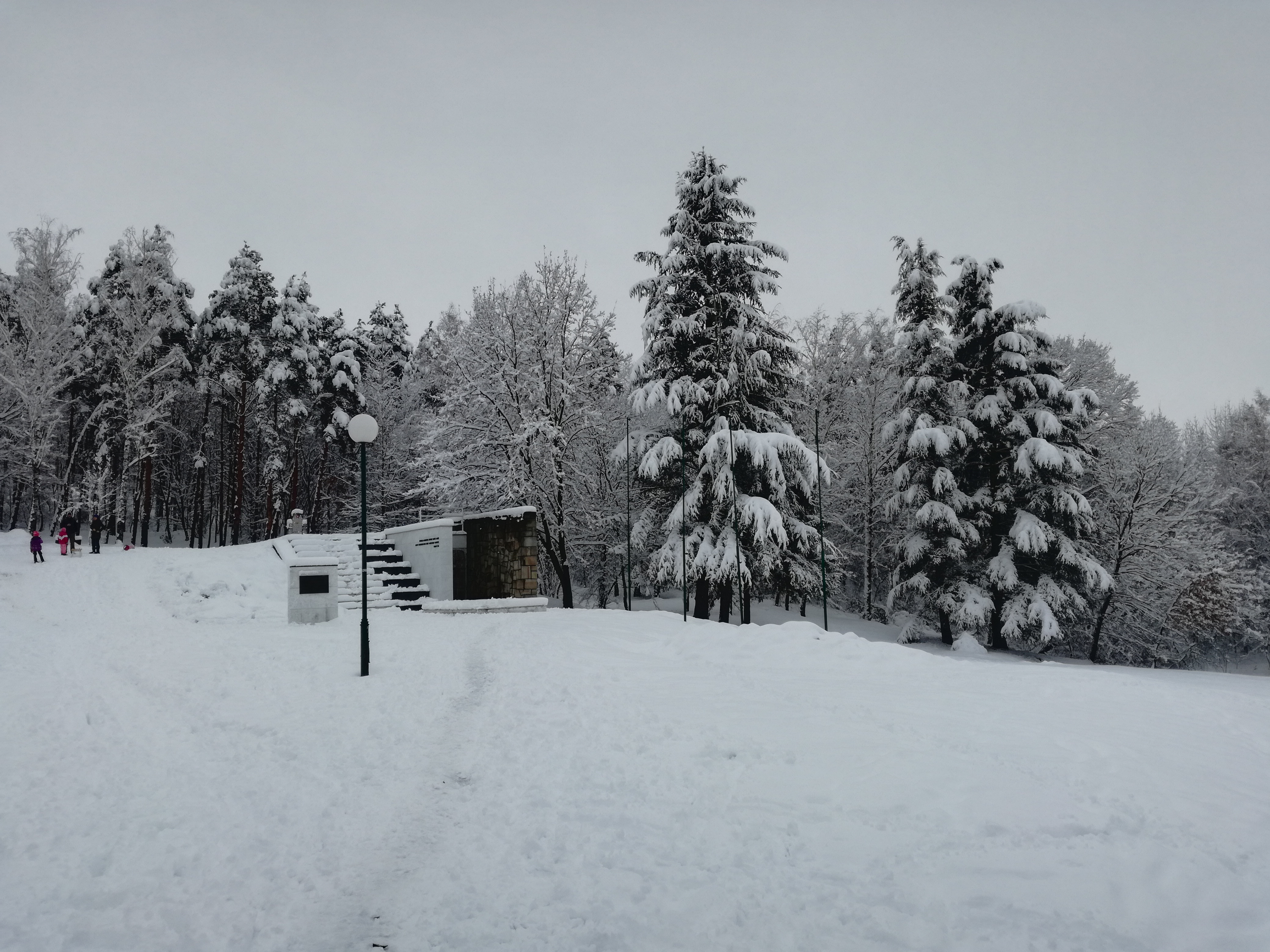 Sneg vreme pozarevac cacalica zima