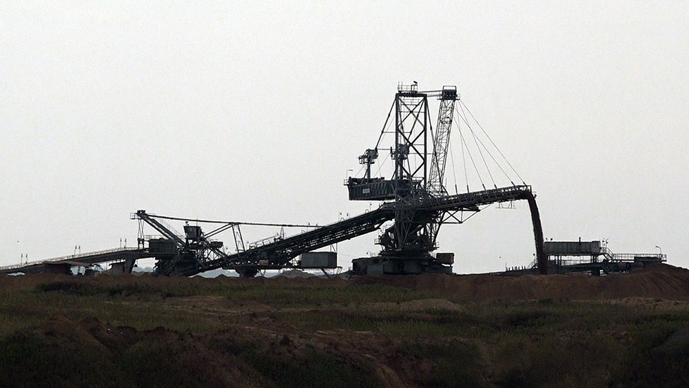 Kop drmno