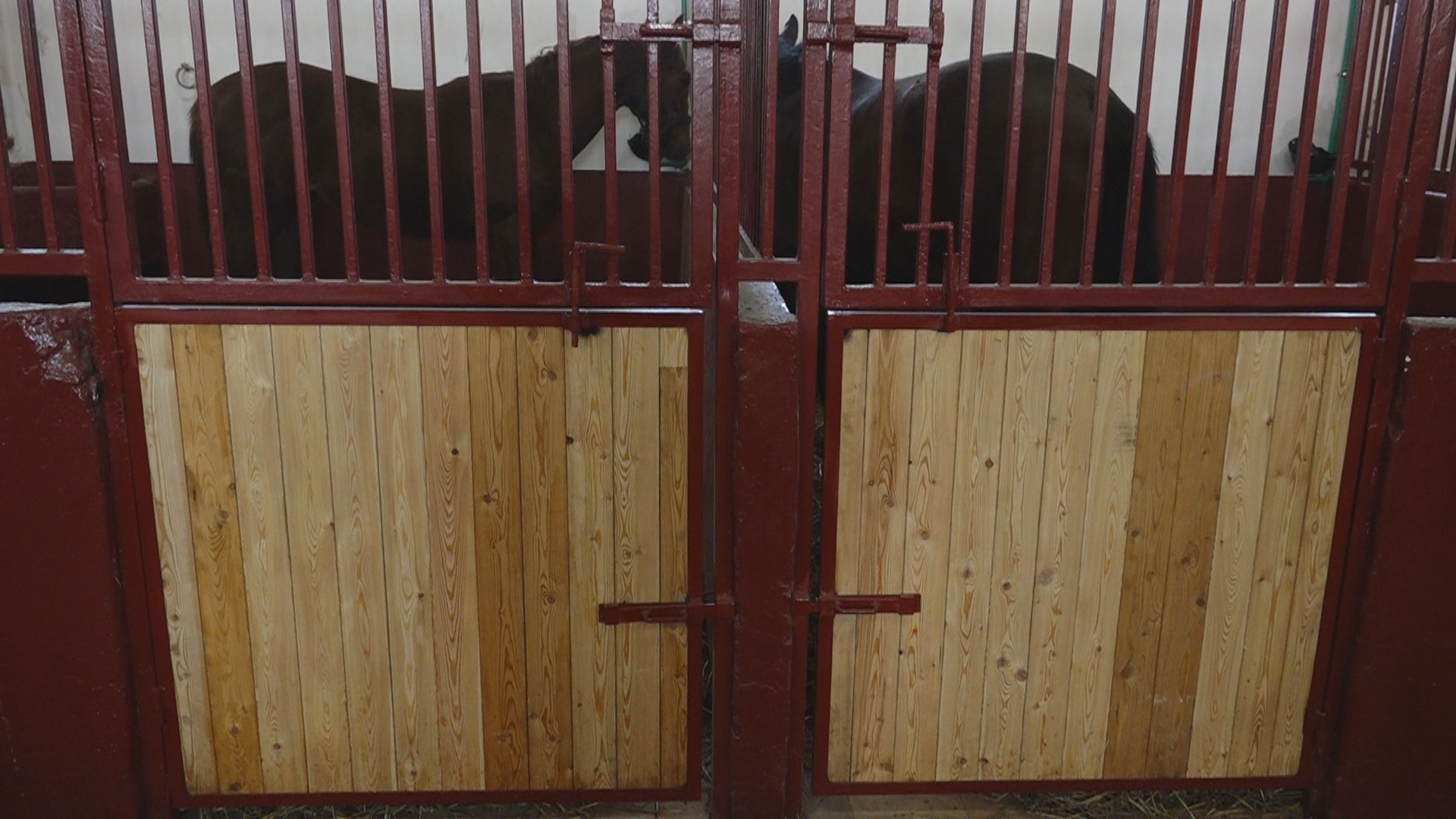 Ljubicevo dec 2018 16