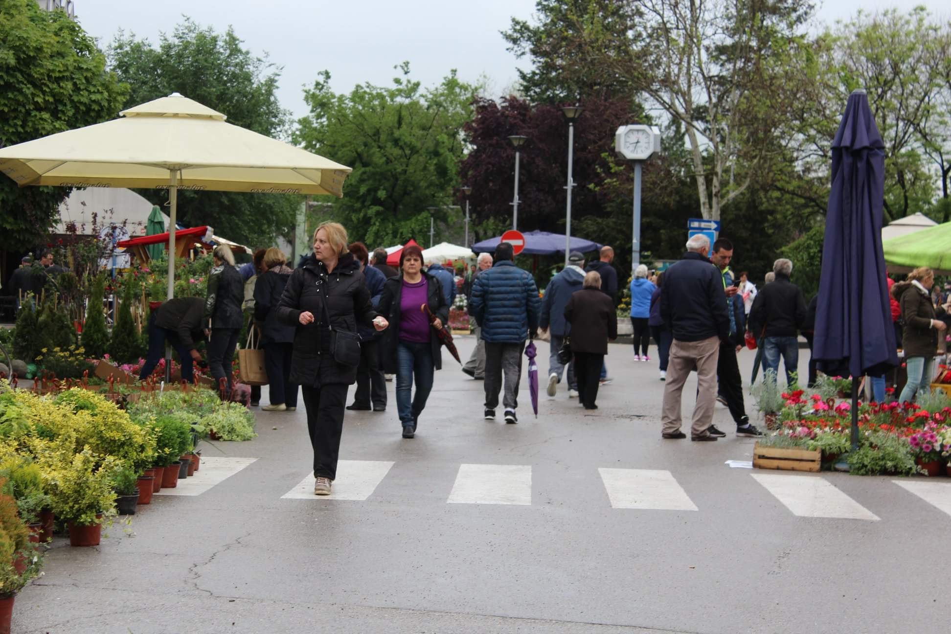 59927428 2221668651477482 8946585021242671104 o