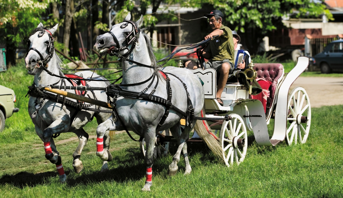 Fijakerijada selo Gaj Banat1