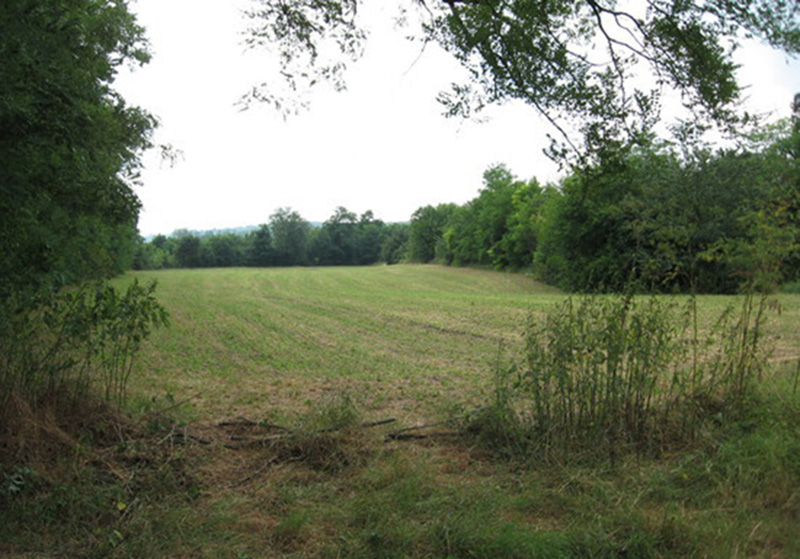 Gradac kod Velikog Laola