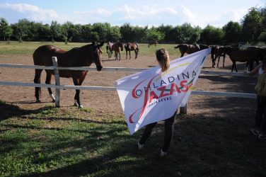 Mladi iz sveta i Omladina JAZAS Požarevac uređenje dvorišta
