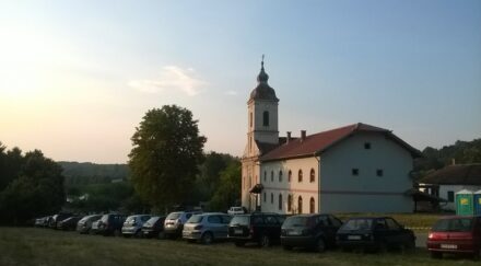 žabare četreže 04 jp