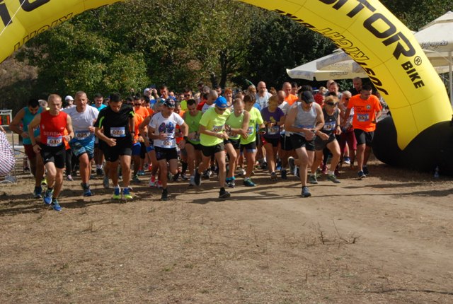 DSC