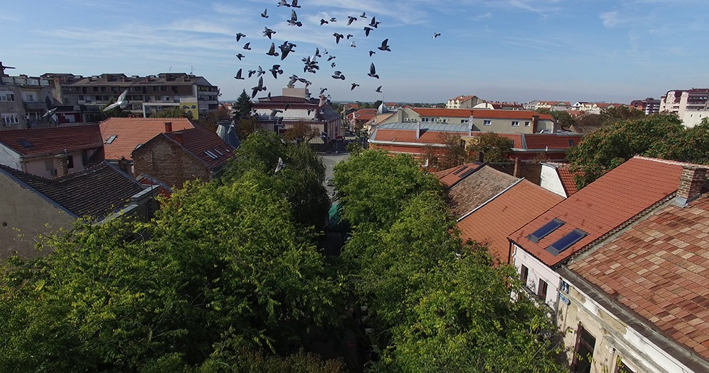 Pozarevac stari korzo vreme