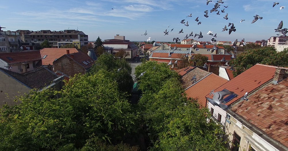 Pozarevac stari korzo vreme