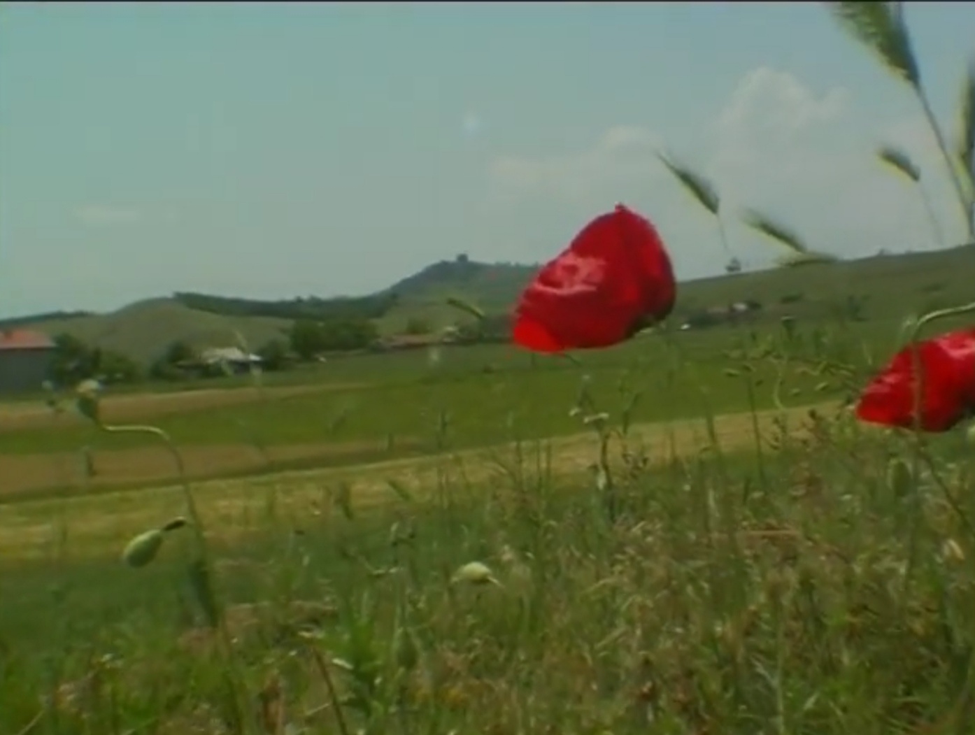 Pogledajte film o meštanima sela Drmno u najvećoj bici u Prvom balkanskom ratu