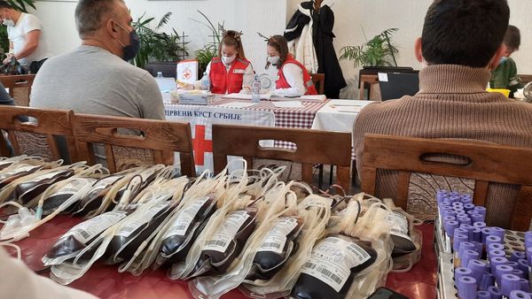 Crveni krst Požarevac: ove godine realizovano 68 akcija dobrovoljnog davanja krvi (FOTO)