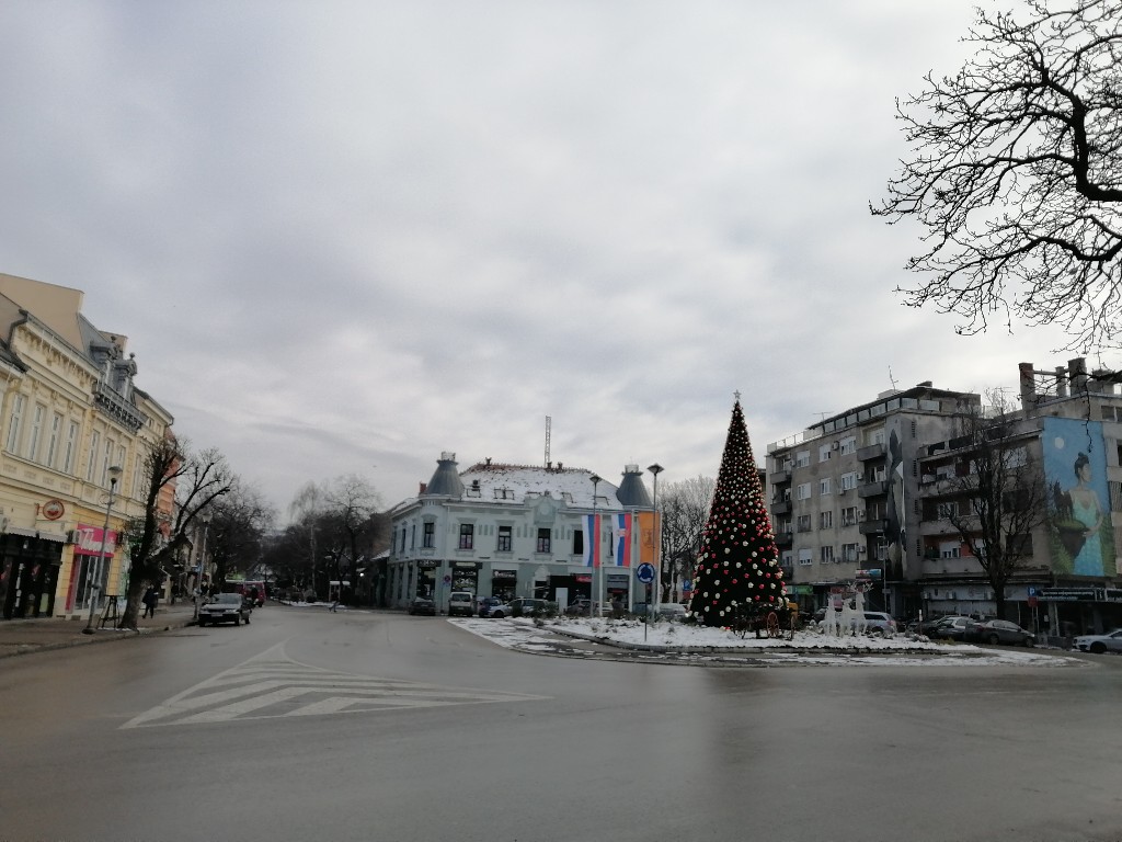 Požarevac kružni tok jelka