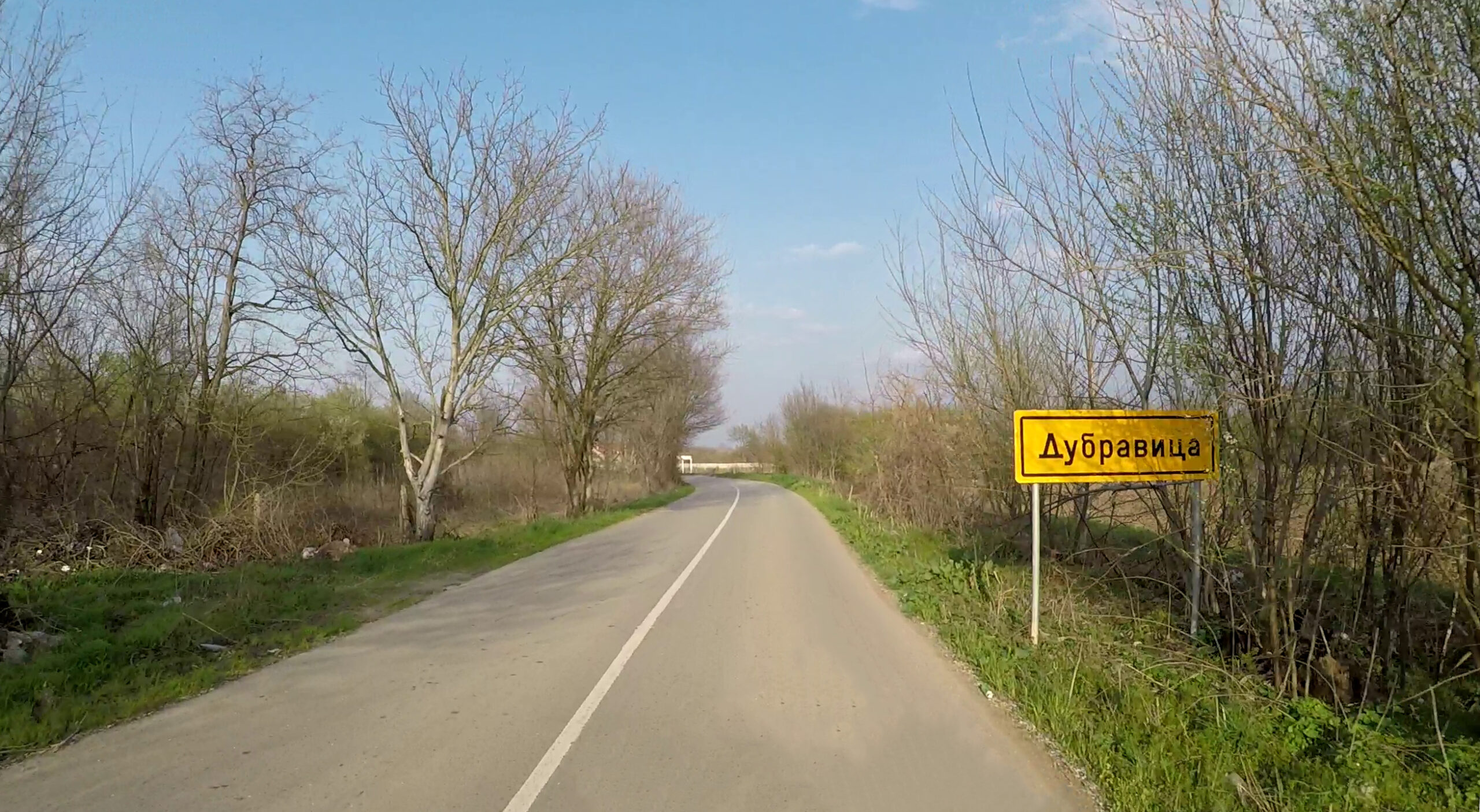 Dubravica