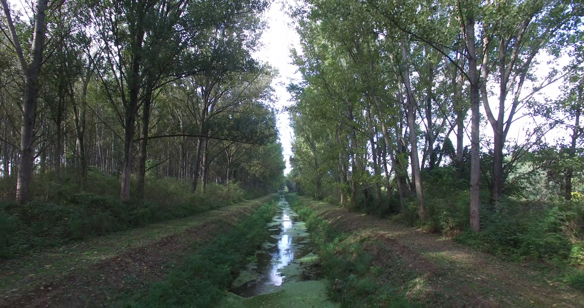 Kanal dubravica