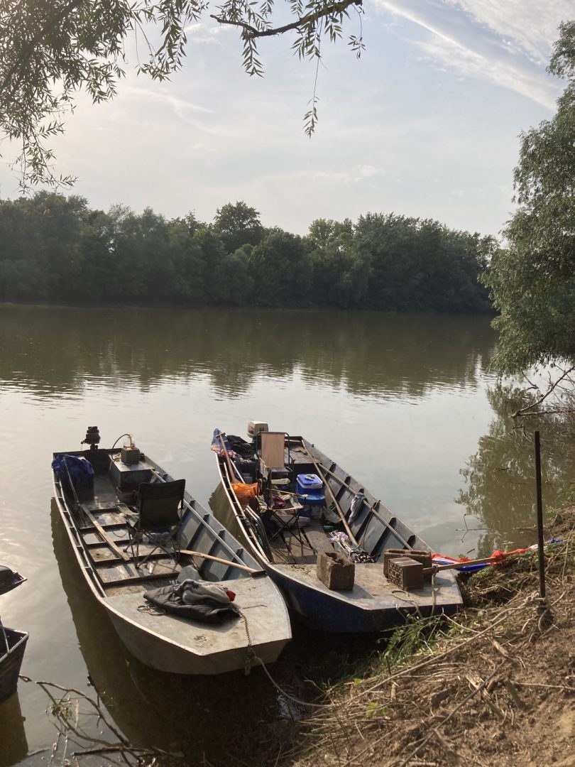 Foto galerija: Somovijada u Brežanu 2021.