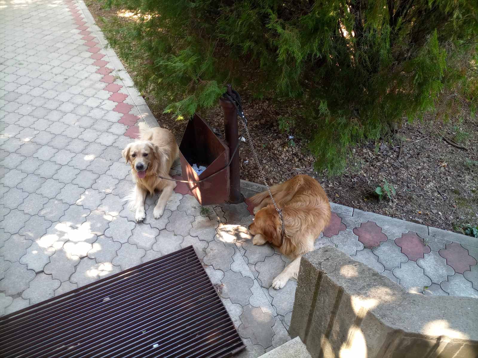 IMG 98dfdacba23cf28ef80c28f85150b8ed V