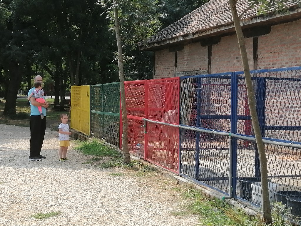 Ljubičevo: Stigao podmladak, zoo-vrt sada još veća atrakcija za decu (FOTO)