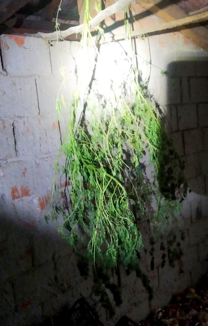Droga u okolini Golupca FOTO