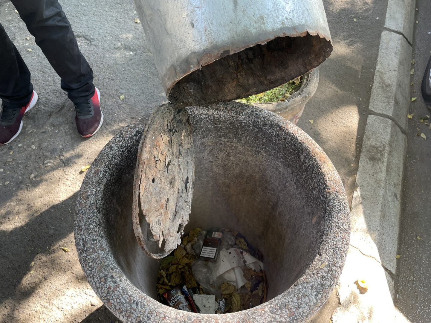 IMG 11da9eada1bbe45abea75da1ab7ae8cf V