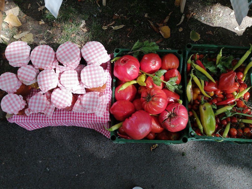 Požarevac: Danas grad miriše na pečenu papriku (FOTO)