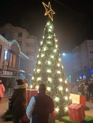 Docek petrovac na mlavi