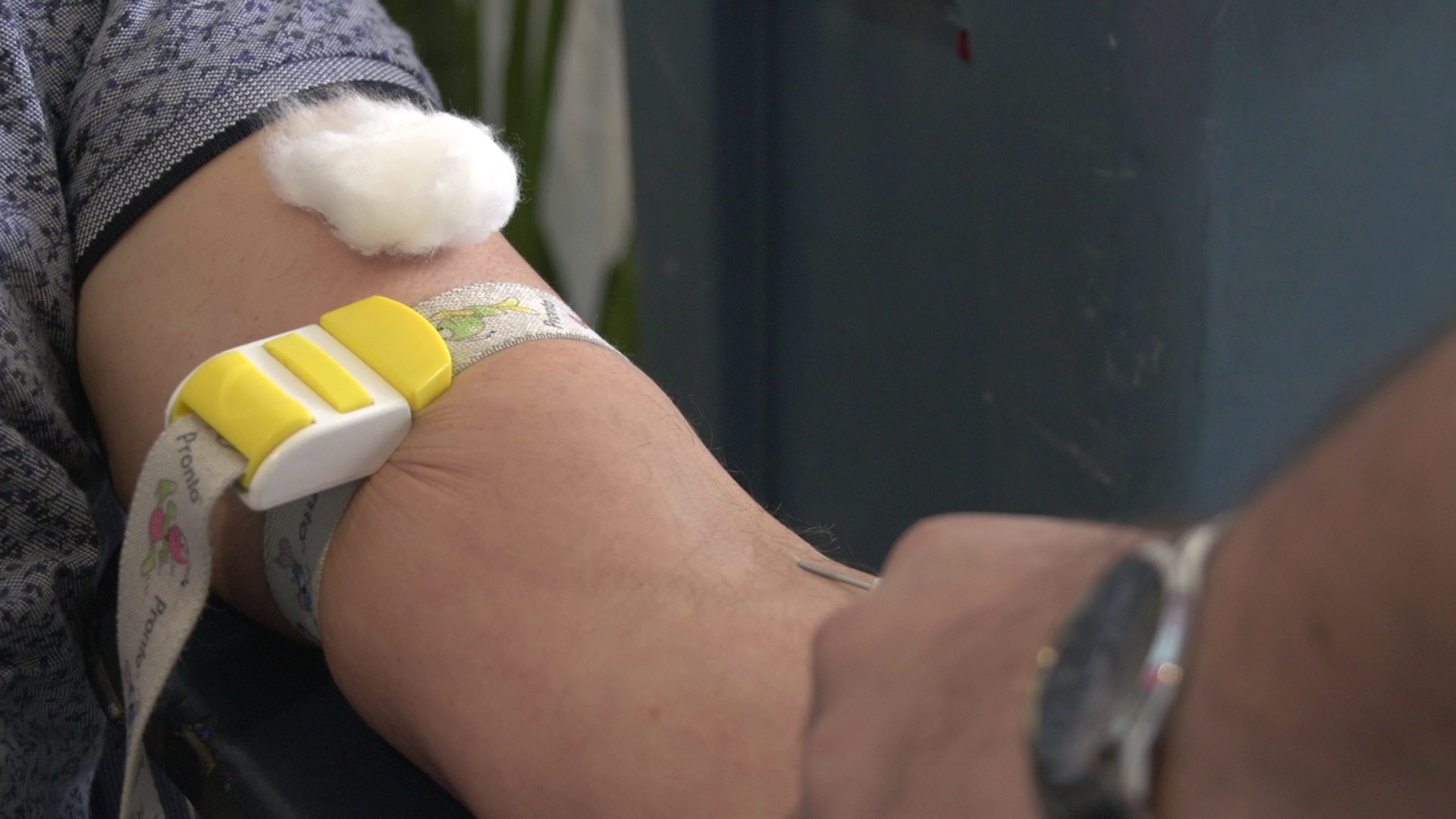 Crveni krst pozarevac vadjenje krvi