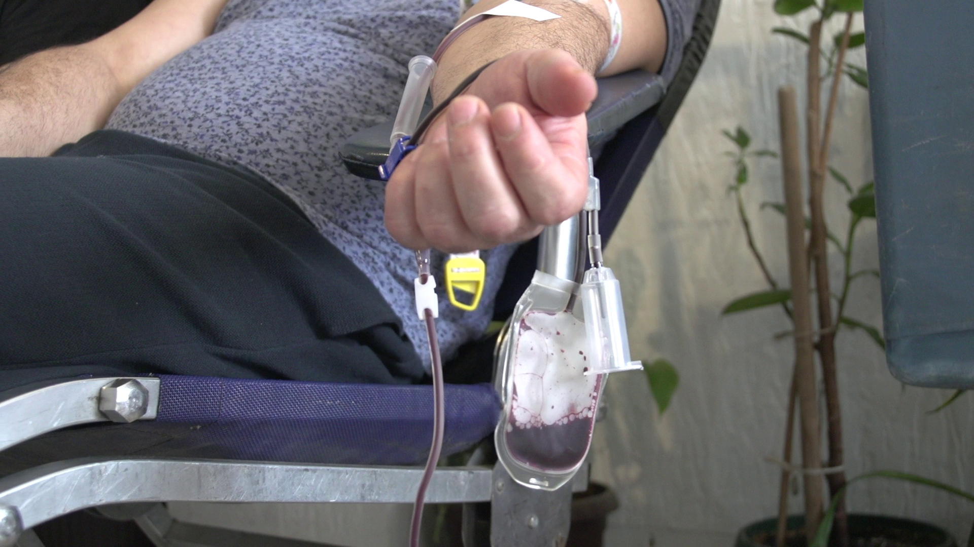 Crveni krst pozarevac vadjenje krvi