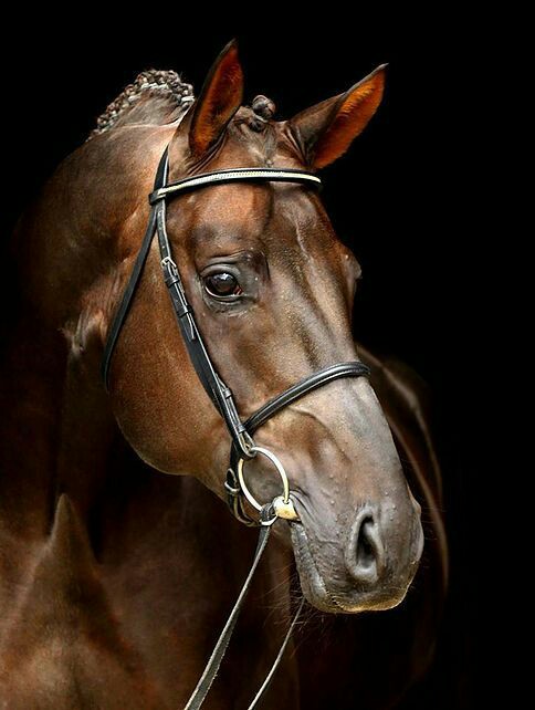 IMG 005e98dfee5dbf6f744697fb903664ea V