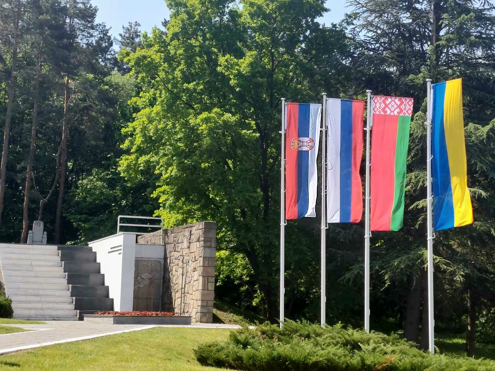 IMG b0904b0a2e0d8e344b614c92085d9157 V