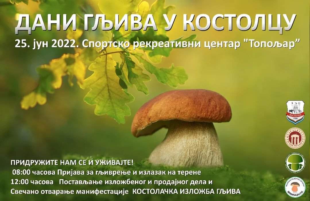 FB IMG