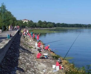 56. ALASKE VEČERI – Veliko Gradište – Prvak staze Pavle Krstić