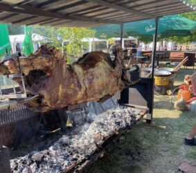 4. „Kostolački kotlić“ – Plaža „Topoljar“ punim kapacitetom ugostila sve posetioce