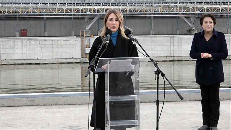 Dubravka đedovic ministrka energetike