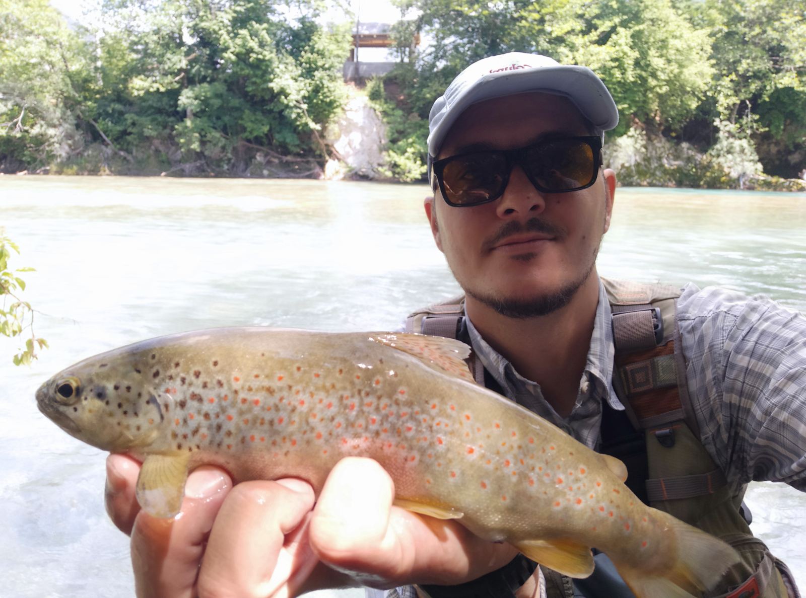 IMG b536ed75700f25ab8cdca6529cf99e2d V