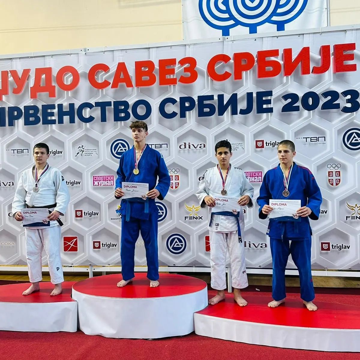 Judo kučevo