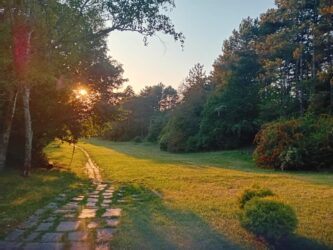 Leto vreme cacalica