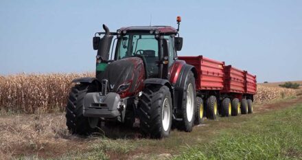 Traktor leto polje 3