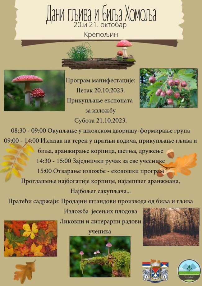 394679519_666697265445817_2007596346506929943_n