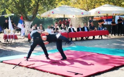 IMG 0e987c1c2d1a7488376813bea2ed8140 V