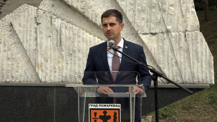 Dan požarevca