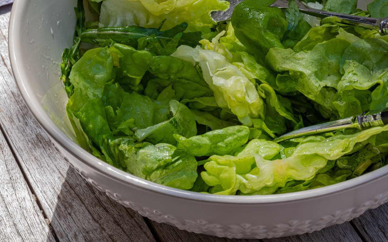 zelena-salata-kupus