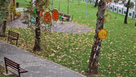 Jesen Vreme Pozarevac