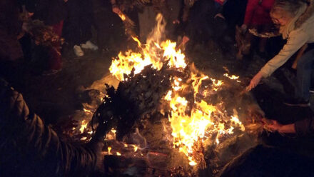 Badnjak Saborna Crkva 2024 01