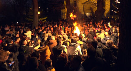 Badnjak Saborna Crkva 2024 07