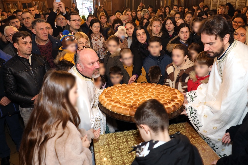 česnica Vg 01,