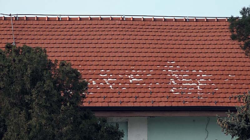 Poljoprivredna škola Obilazak 05