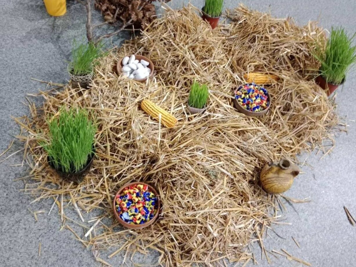 Zavičajni Muzej žagubica 02