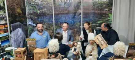 425348943 1629938994481858 4407021468231763253 N