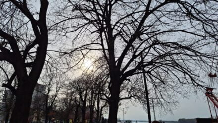 Vreme Oblaci Oblacno Pozarevac