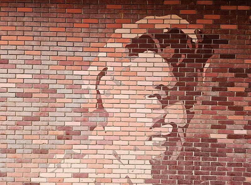 Narodna Biblioteka „stevan Raičković“ Kučevo