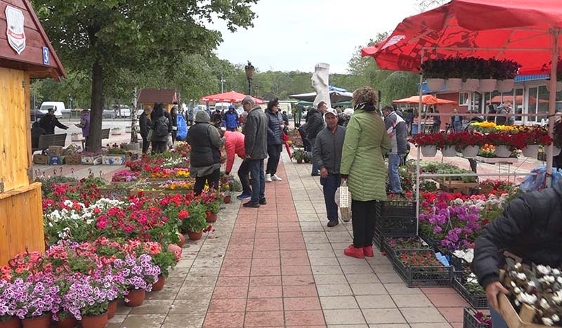 Festival Cveća Kostolac 04